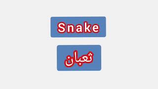 '' Snake ..  ترجمة كلمة انجليزية الى العربية - ''   ثعبان