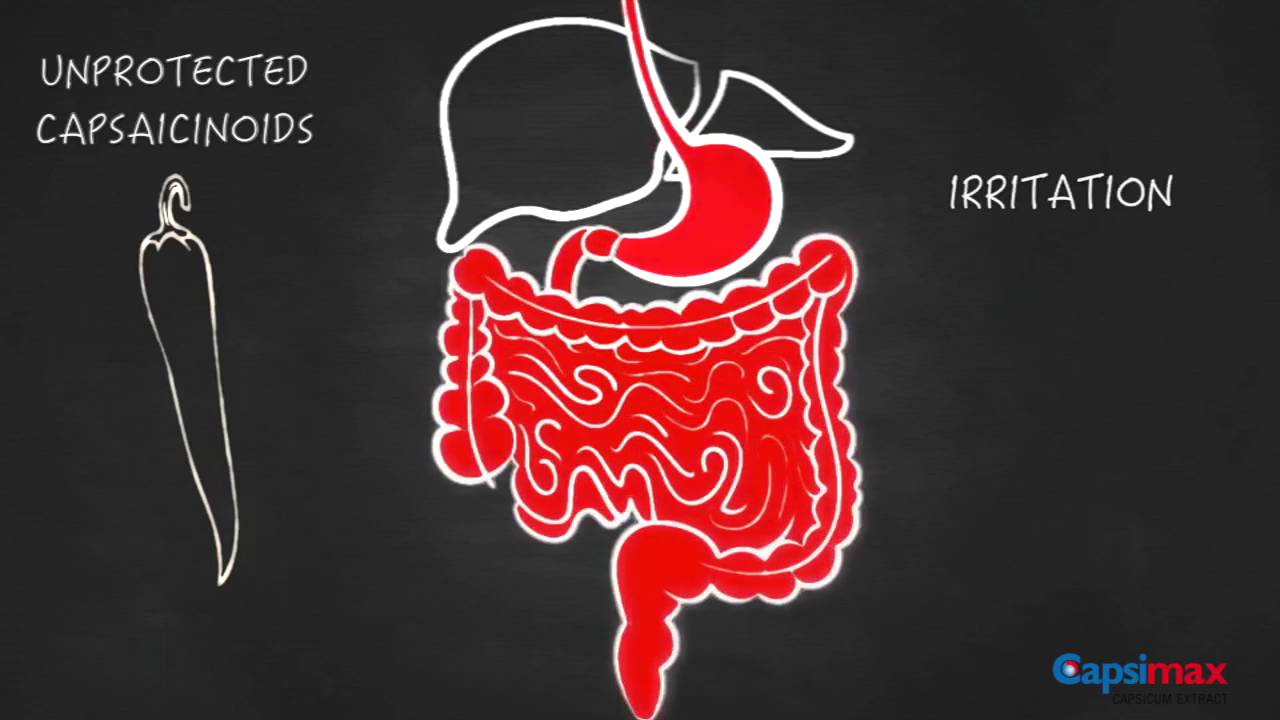 Capsimax Capsicum Extract for Weight Management YouTube