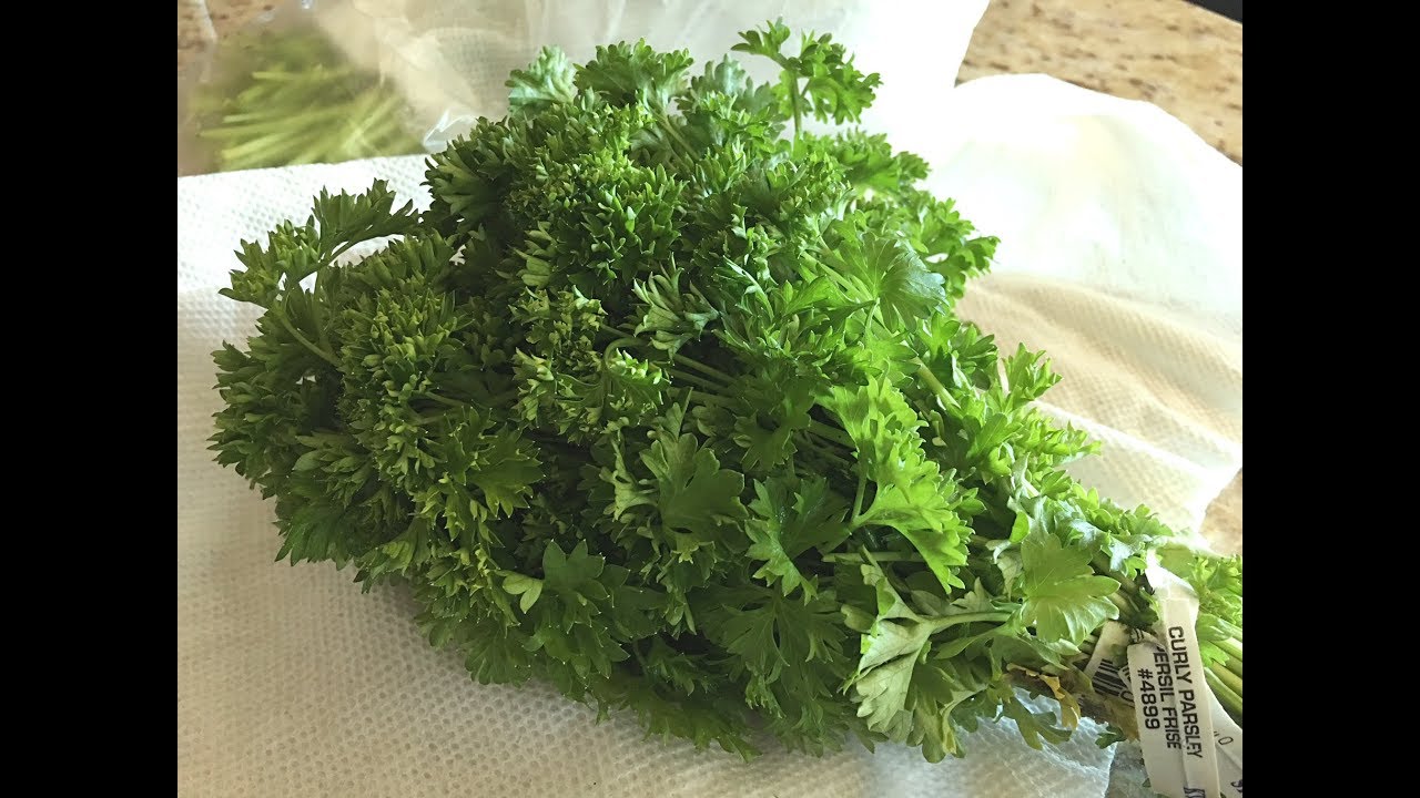 Extend the Shelf Life of Parsley & Cilantro Tips & Tricks 22 YouTube