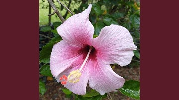 One Of Us Cannot Be Wrong