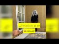 بو عسكور قرر يمقلب عدي لكن صار اللي مايتوقعه شوفو وش صار بالنهاية