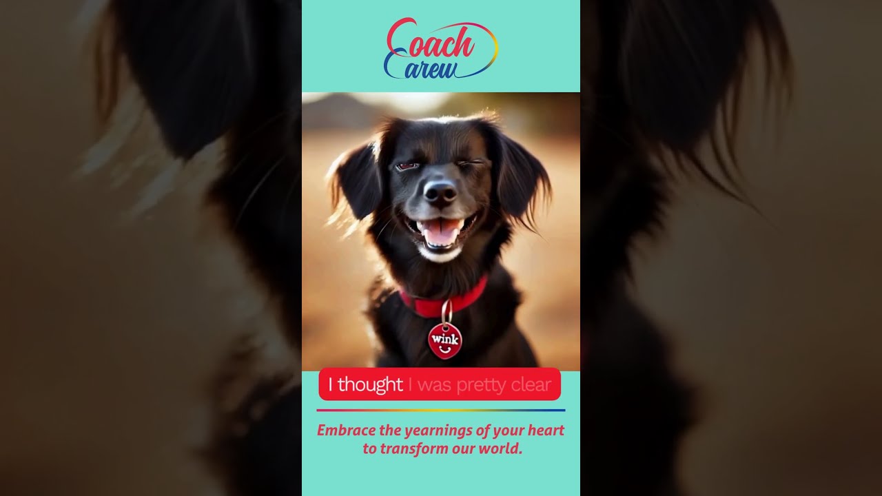 What Happened to Love Thy Neighbor? 🐾