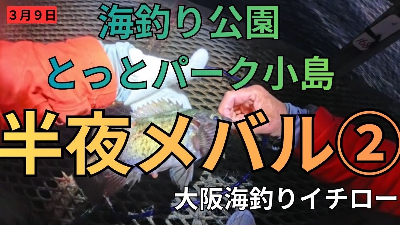 半夜メバル②【海釣り公園とっとパーク小島】