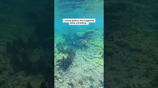 We cannot believe this happened while snorkeling! 😱