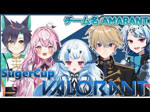 【VALORANT】SugerCUP本番！オーディン本人視点【 Vtuber/紗匹アジ 】