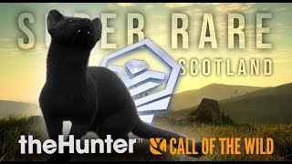 I Found A SUPER RARE On Release Day Of SCOTLAND! | The Hunter Call Of The Wild