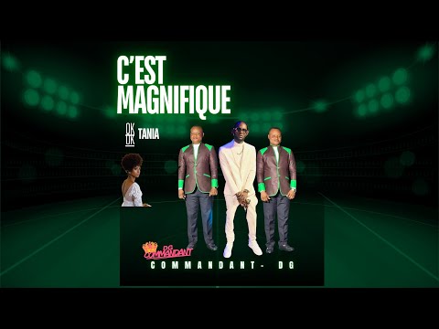 C'est magnifique ok