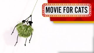 CAT GAMES - Green Spider! 50FPS (Entertainment Movie for cats) CAT GAMES - Green Spider! 50FPS (Entertainment Movie for cats)