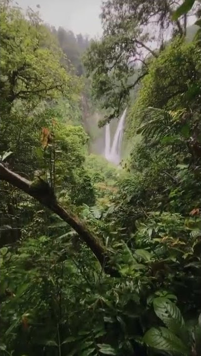 STORY WA ALAM PEGUNUNGAN - AIR TERJUN