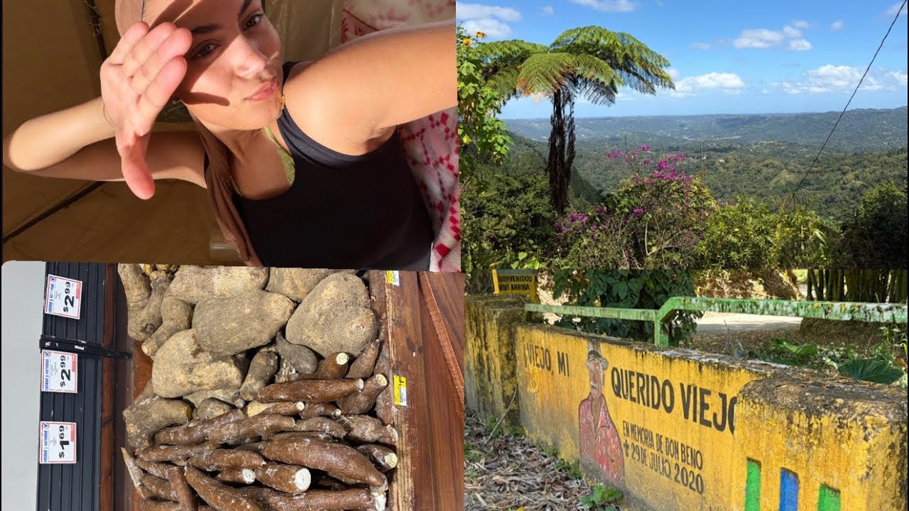 a solo trip to utuado