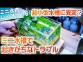 超小型水槽に異変!?小さい水槽に起きがちなトラブル＆ミナミヌマエビ恐怖映像 #アクアリウム #エビ #メダカ #nanotank