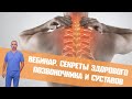 Секреты здорового позвоночника и суставов. Запись вебинара от 20.04.2019