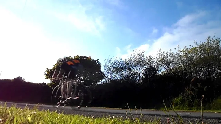 Video 1275411: cornish, cat