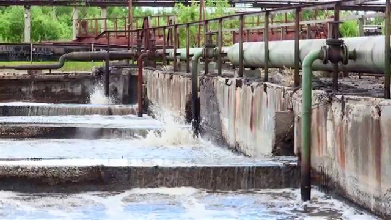 Argonne Bioenergy Research