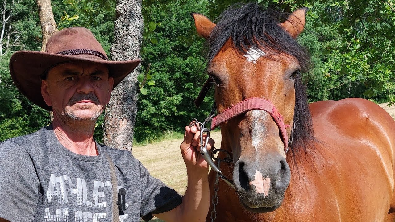 Ivan pije vodu, njemu više piva ne ide. Obavili smo šišanje ovaca,kod legende Ivana.