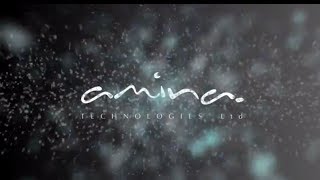 Amina Cavity Wall Installation video Dutch