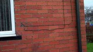Wall ties; guaranteed waste of money!