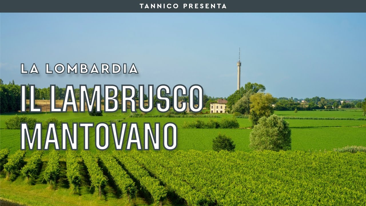 Il Lambrusco Mantovano, orgoglio lombardo | Tannico