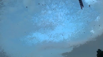 Swiftlet bird test call 2 by hikmi