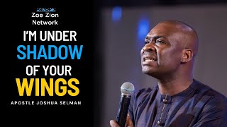 We're under the shadow of your wings | Apostle Joshua Selman Lyrics video