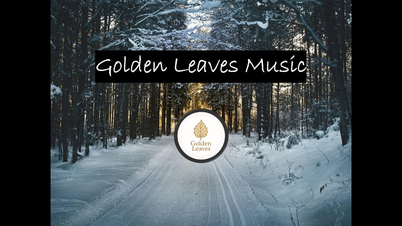 Quiet Winter Mornings 2025☕❄️ | Winter Indie Folk & Acoustic Mix for Calm, Reflection, and Snow Days