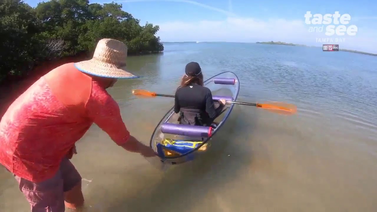 Explore Tampa Bay in a clear canoe Taste and See Tampa Bay YouTube