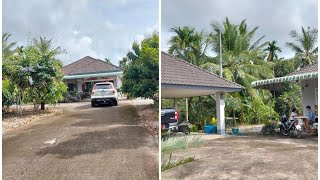 3.8 million baht for a ready-to-move-in garden house, 2 rai, 3 ngan, 74 sq m, water and electrici...