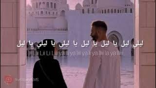 Shou Helou - Ziad Bourgi  شو حلو - زياد برجي lirik  Arab dan latin