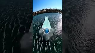 Waterslide into pool full of giant fish #funny #memes