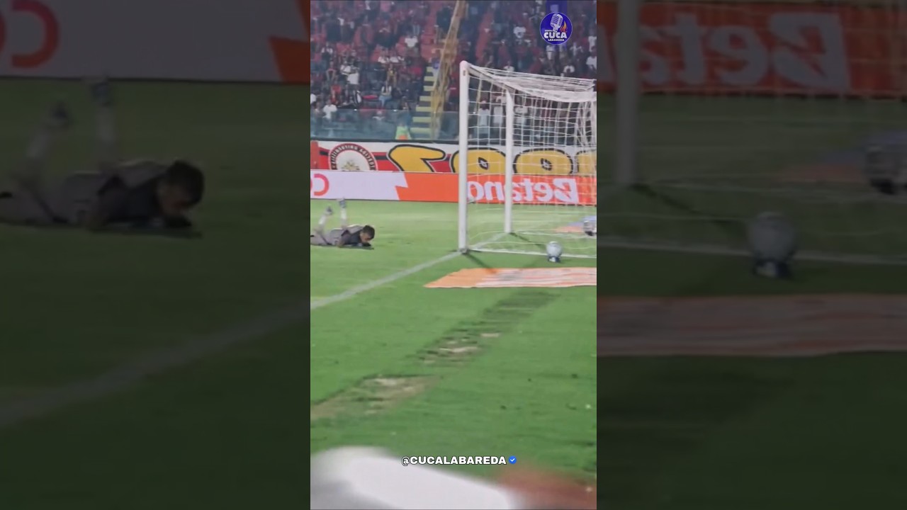 GOL DO FLAMENGO | PULGAR | VITÓRIA X FLAMENGO 