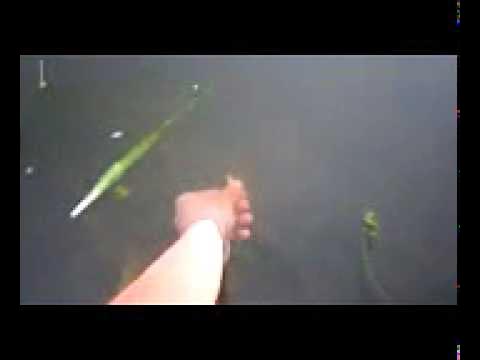 Смотреть Простая Мордушка!!!! - Купить Мордушку Для Ловли Рыбы - YouTube