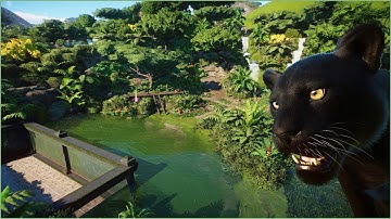 🌴 Natural black panther habitat | Conuco Zoo | Planet Zoo | speedbuild🥑