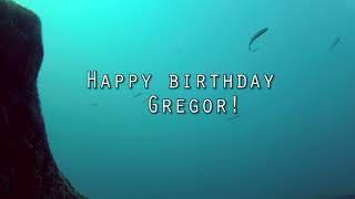 Gregor Bauer 2021 Birthday Quiz