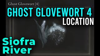 Ghost Glovewort 4 Location in Siofra River, Early Game | Elden Ring