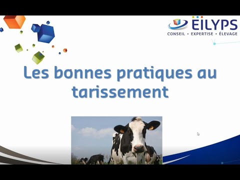 Vidéo: Effets De L'alimentation Des Vaches En Transition éloignée Et Rapprochée Sur La Santé Utérine, L'intervalle Anestreux Post-partum Et Les Résultats Reproductifs Chez Les V