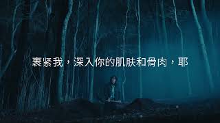 David Kushner - Skin and Bones (Chinese Lyric Video)