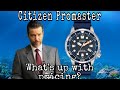 Watch Me Go Broke - Citizen Promaster ECO-DRIVE