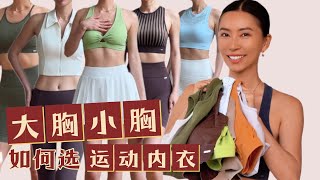 大胸小胸该如何选运动内衣｜试穿&讲解【周六野Zoey】