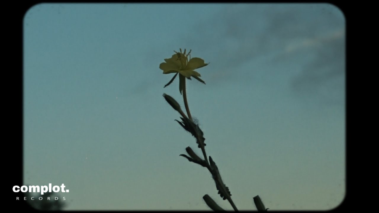 Kidd Joako - Gracias por todo (Video Oficial)