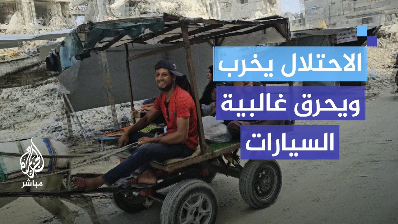 العربات المجرورة بالحيوانات تحلّ بديلاً عن السيارات في شمال عزَّة