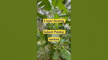 SubashPalekar 5 layer model