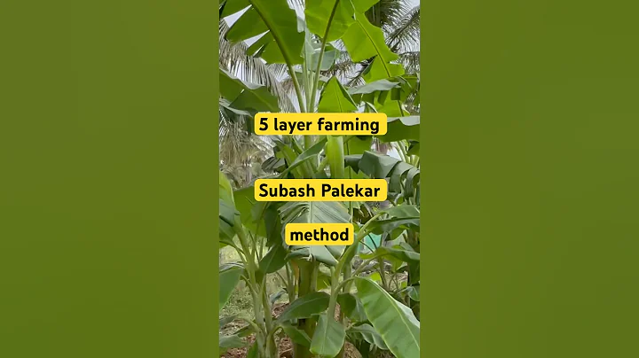 SubashPalekar 5 layer model