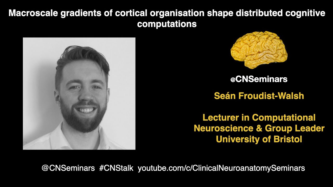#CNStalk Seán Froudist-Walsh: Macroscale gradients of cortical organisation & cognitive computations