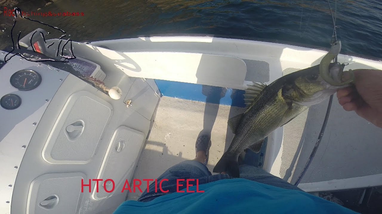 Con aguas claras, mares calmos y las últimas de veroño. HTO ARTIC EEL