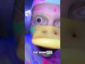Donald goes to Smash it PC #funny #comedy #relatable #humor #skit