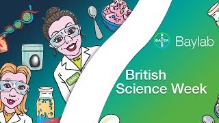 Baylab : How to make a Bouncy Egg and other Eggs-periments