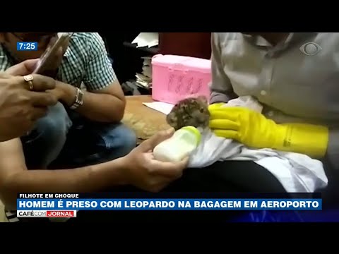 Vídeo: Filhote De Leopardo Encontrado Em Bagagem No Aeroporto Da Índia