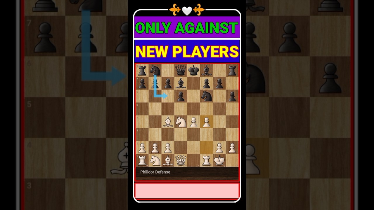 How to play chess game. Funny Chess video. 