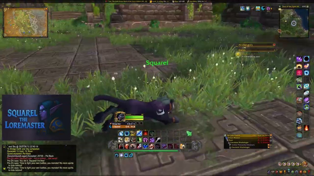 Pei-Back – 29755 – WoW Retail Walkthrough