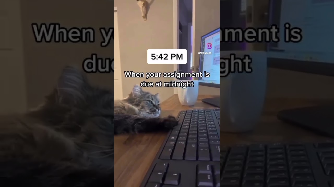 Write an Essay During Final Exam week 